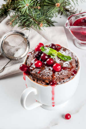 Winter, fall healthy breakfast or snack. The idea of a quick treat for Christmas. Chocolate mug cupkake in ceramic cup, with cranberry and sauce, powdered sugar. White marble table, copy spaceの写真素材