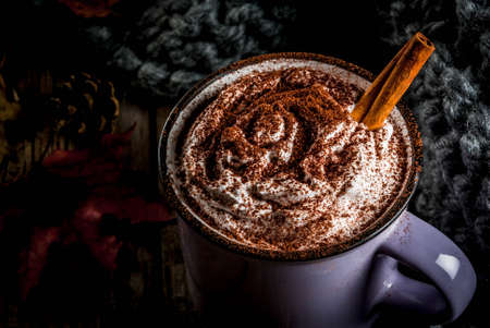 Autumn drinks, hot chocolate or cocoa with whipped cream and spices (cinnamon, anise), on the old rustic wooden table, with a warm cozy blanket, hay berry and leaves copy spaceの写真素材