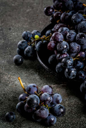 Raw natural organic farmer's black grapes, bunches on black plate, dark stone background, copy spaceの写真素材