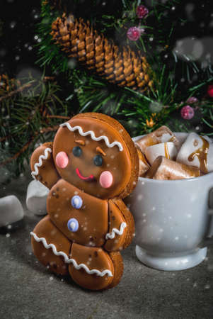 Traditional Christmas treat. Hot chocolate with marshmallow, gingerbread man cookie, fir tree...
