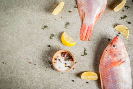 Fresh raw fish pink tilapia with spices for cooking - lemon, salt, pepper, herbs, on gray stone...