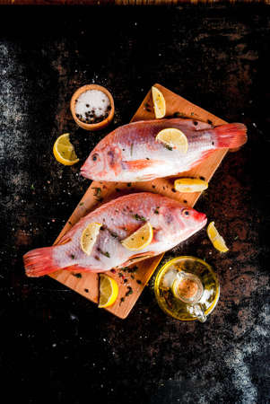 Fresh raw fish pink tilapia with spices for cooking - lemon, salt, pepper, herbs, on  black rusty metal table, copy space top viewの写真素材