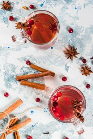 Hot autumn drink, fruit spicy tea with cranberry, cinnamon, anise. On light blue concrete table, with ingredients copy space top viewの写真素材