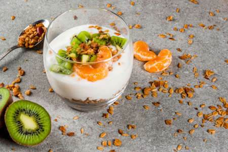 Healthy tangerine and kiwi yogurt granola dessert for breakfast, with ingredients, gray stone table, copy spaceの写真素材