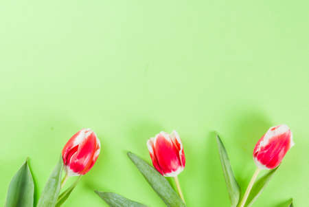 Spring concept. Flowers tulips on green background. Copy space top view, greeting card backgroundの写真素材