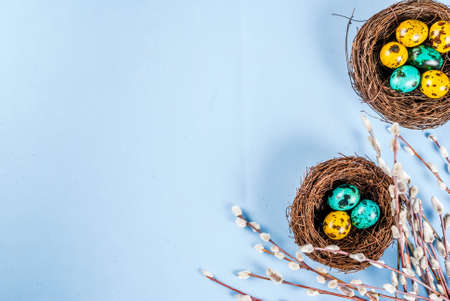 Easter background with bird's nests, with eggs and spring flowers pussy willow, blue background top...