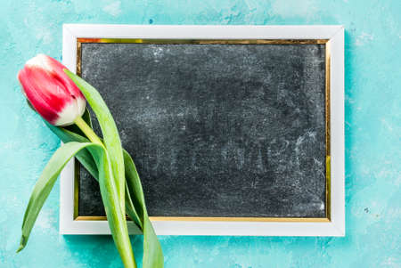 Background for congratulations, greeting cards. Fresh spring tulips flowers with chalkboard for...