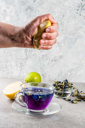 Healthy drinks, organic blue butterfly pea flower tea with limes and lemons, grey concrete background copy space top viewの写真素材