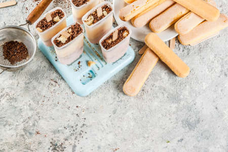Tiramisu popsicles ice cream. Gelato pops with italian savoiardi cookies, nascarpone, milk chocolate, with tiramisu ingredients on grey stone kitchen table. top view copy spaceの写真素材