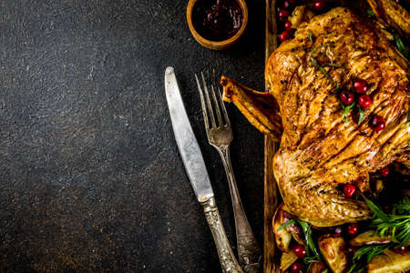 Christmas, thanksgiving food, baked roasted chicken with cranberry and herbs, served with fried vegetables and sauces on dark rusty table, copy space aboveの写真素材