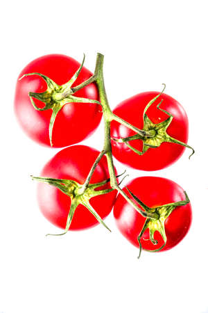 Raw organic fresh red tomatoes on branch isolated on a white backgroundの写真素材