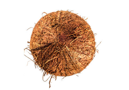 Coconut, whole nut, isolate on white backgroundの写真素材
