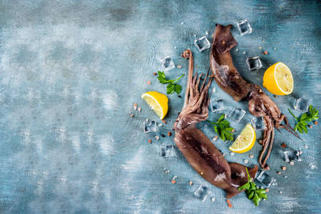 Fresh raw seafood, squid with lemon and light for preparation on a light blue backgroundの写真素材