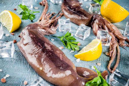 Fresh raw seafood, squid with lemon and light for preparation on a light blue background