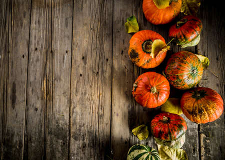Autumn harvest concept, pumpkins background with yellow leaves, old rustic wooden table copy spaceの写真素材