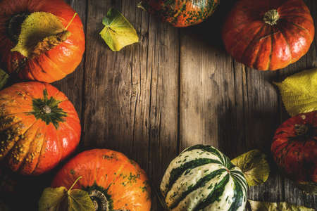 Autumn harvest concept, pumpkins background with yellow leaves, old rustic wooden table copy space