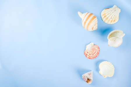 Summer vacation concept, layout, seashells on bright blue yellow background top view simple pattern