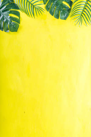 Tropical background. Palm and monstera leaves on yellow blue  background. Flatlay, top view, minimal layout, summer conceptの写真素材