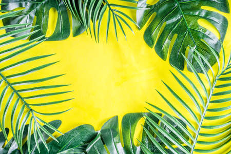 Tropical background. Palm and monstera leaves on yellow blue  background. Flatlay, top view, minimal layout, summer conceptの写真素材