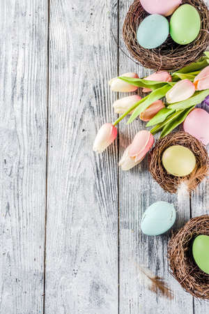 Pastel Easter background with tulip flowers and colorful painted Easter eggs. Top view, rustic white...