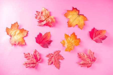 Simple autumn red yellow orange leaves pattern, flatlay top viewの写真素材