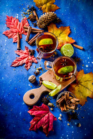 Hot spicy autumn tea with cinnamon, anise, lemon, with autumn decoration, leaves and spicesの写真素材
