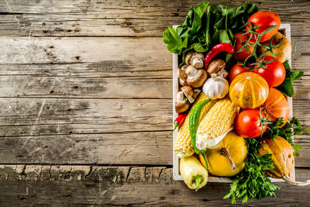Autumn food concept. Healthy organic harvest vegetables and ingredients pumpkin, greens, tomatoes, corn, wooden kitchen table background. Thanksgiving seasonal cooking ingredients.の写真素材