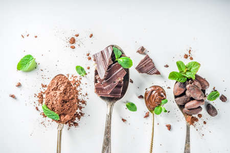 Different conditions of cocoa. Various cocoa - beans, beans, ground, crushed cocoa powder, chocolate paste, chocolate pieces and hot chocolate in a cup. In various spoons, white background aboveの写真素材