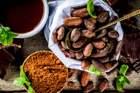 Different conditions of cocoa. Various cocoa - beans, beans, ground, crushed cocoa powder, chocolate paste, chocolate pieces and hot chocolate in a cup. On a wooden rustic background with copy space for textの写真素材