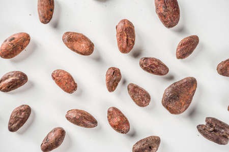 Cocoa beans on white background  top view copy spaceの写真素材