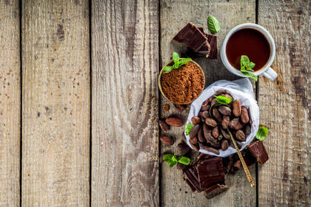 Different conditions of cocoa. Various cocoa - beans, beans, ground, crushed cocoa powder, chocolate paste, chocolate pieces and hot chocolate in a cup. On a wooden rustic background with copy space for textの写真素材