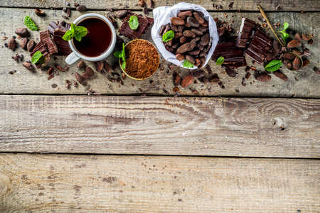 Different conditions of cocoa. Various cocoa - beans, beans, ground, crushed cocoa powder, chocolate paste, chocolate pieces and hot chocolate in a cup. On a wooden rustic background with copy space for textの写真素材