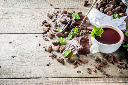 Different conditions of cocoa. Various cocoa - beans, beans, ground, crushed cocoa powder, chocolate...