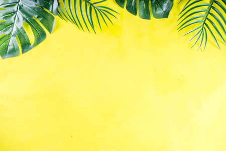 Tropical background. Palm and monstera leaves on yellow blue  background. Flatlay, top view, minimal layout, summer conceptの写真素材
