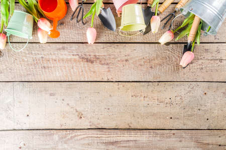 Gardening tools and flowers on wooden terrace background. Spring gardening concept, copy space for textの写真素材