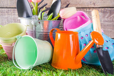 Gardening tools and flowers on the terrace and green grass in garden, Concept of spring gardening...
