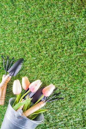 Gardening tools and flowers on the terrace and green grass in garden, Concept of spring gardening hobby copy spaceの写真素材