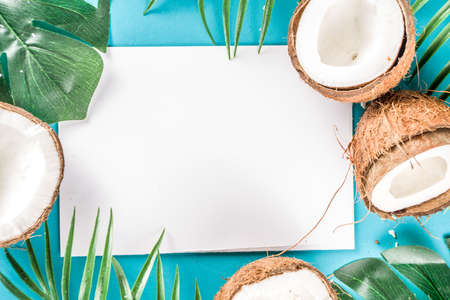 Tropical summer background with tropical palm leaves and coconuts, trendy turquoise, aquamarine...