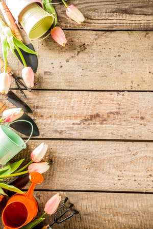 Gardening tools and flowers on wooden terrace background. Spring gardening concept, copy space for your textの写真素材