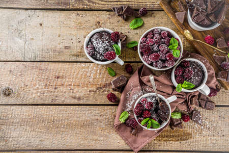 Homemade chocolate mug cake with blackberry.の写真素材