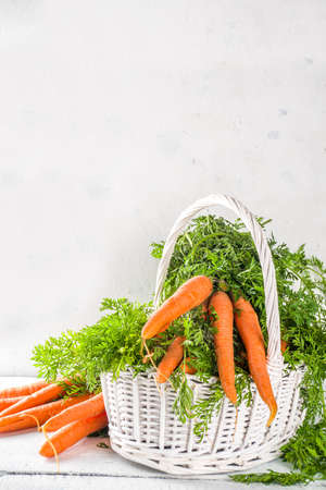  Fresh and sweet raw organic carrot on white wooden backgroundの写真素材