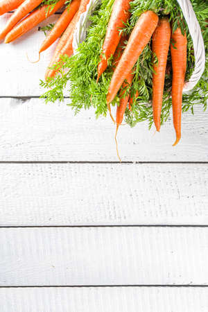  Fresh and sweet raw organic carrot on white wooden backgroundの写真素材
