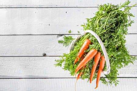  Fresh and sweet raw organic carrot on white wooden backgroundの写真素材