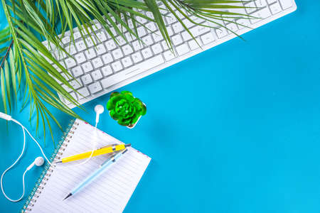 Modern workspace top view. Workplace concept with pc keyboard, notebook, pencils and green office flowersの写真素材