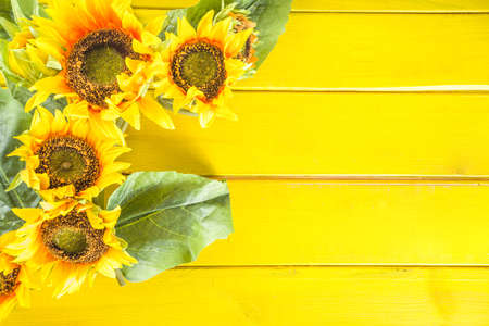 Autumn sunny background, with sunflowers on yellow wooden table. Autumn harvest concept, Thanksgiving holiday greeting cardの写真素材