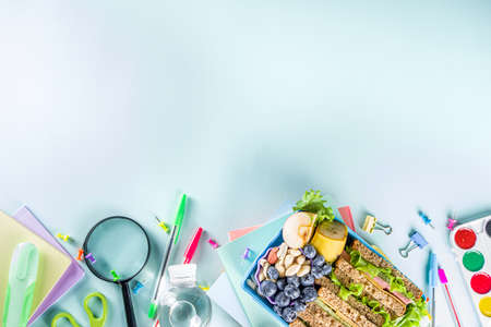 Healthy children school lunch box: sandwich, vegetables, fruit and mineral water bottle, with school supplies on, on light blue background copy spaceの写真素材