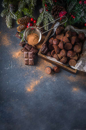 Traditional Christmas dessert, homemade chocolate truffles, with dark chocolate slices, winter spices and christmas tree decor on dark background. copy spaceの写真素材