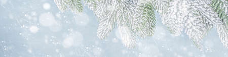 Christmas border. Holiday christmas tree garland on light blue snowy background. Christmas tree...