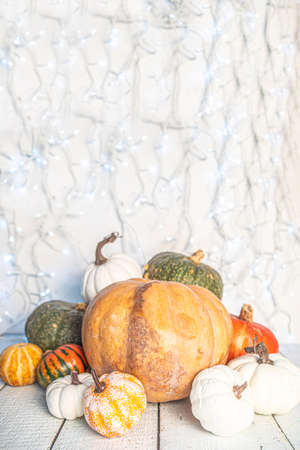 Pumpkins on white wooden background, with white festive garland over wall copy spaceの写真素材