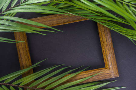 Tropical palm leaves with dark frame background. Top view, simple design copy space for text